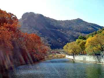 新澳天天开奖资料大全旅游团，洒水车型号